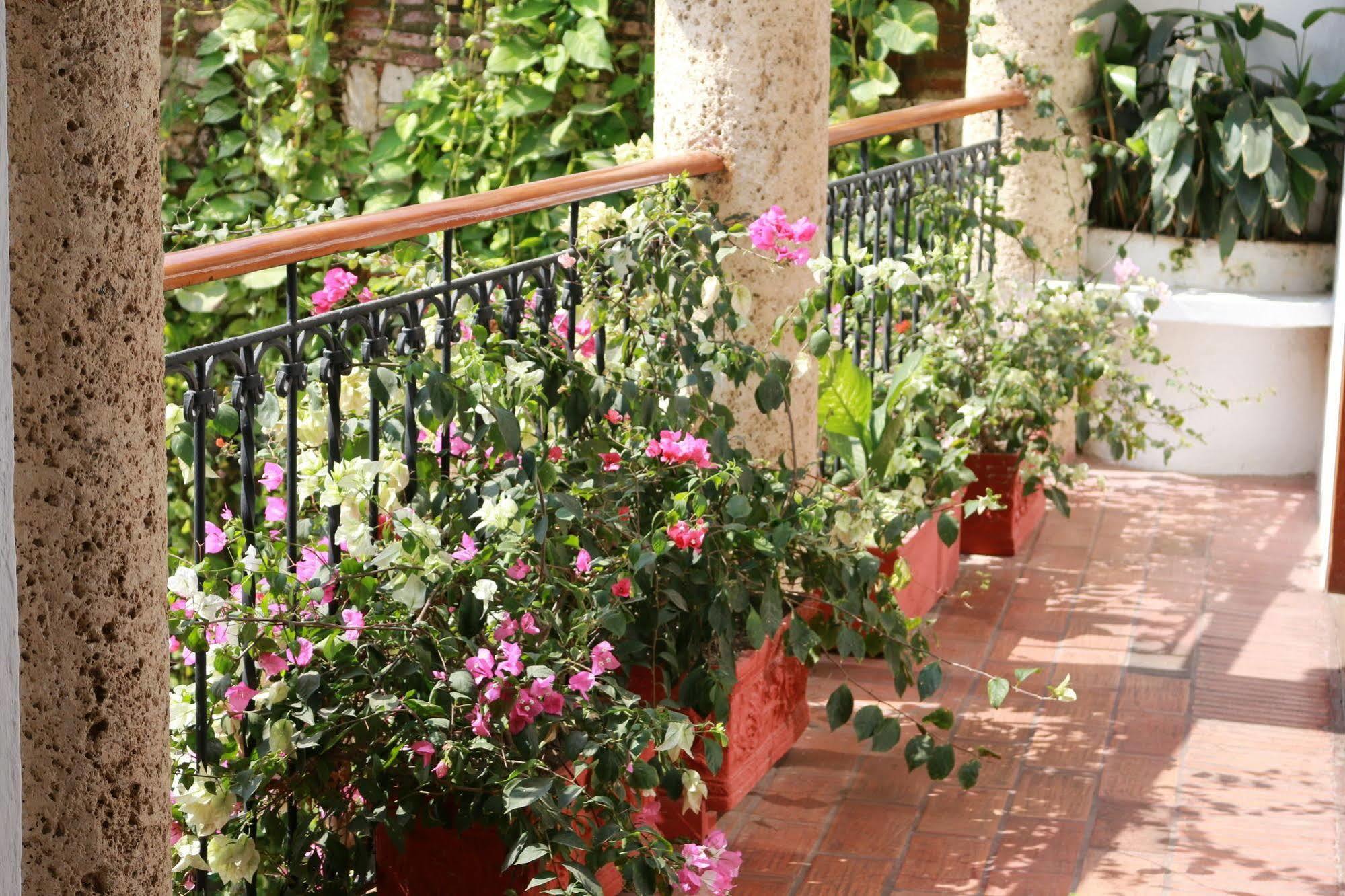 Casa De Reyes By Hmc