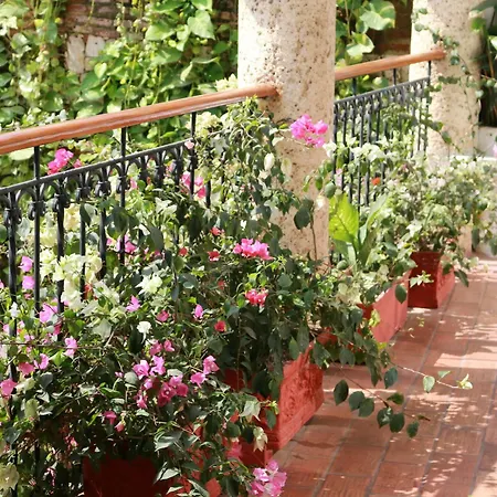 Casa De Reyes By Hmc