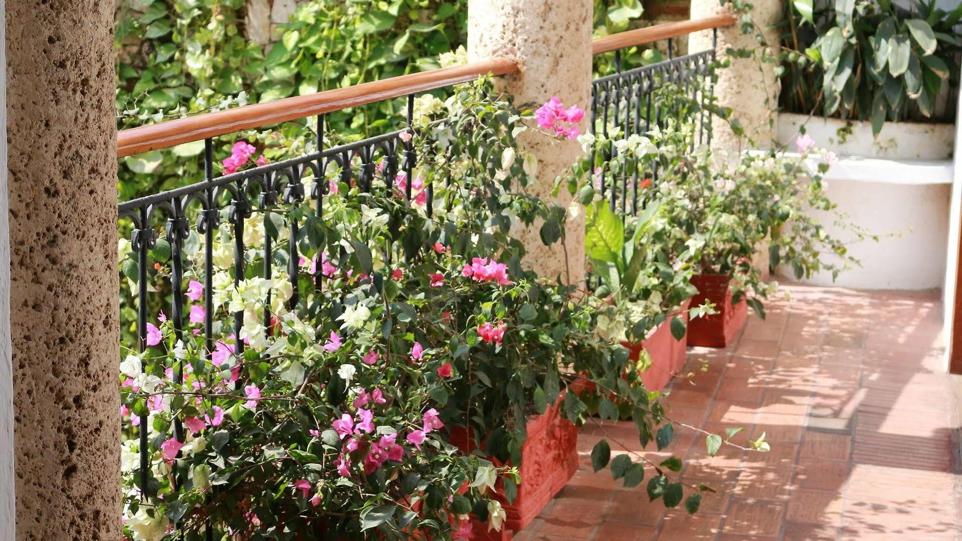 Casa De Reyes By Hmc