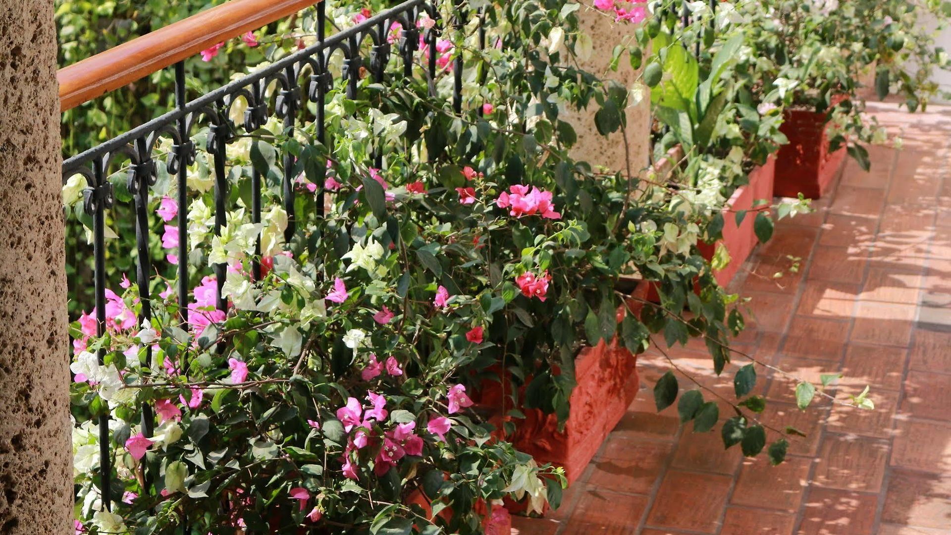 Casa De Reyes By Hmc Hotel Cartagena