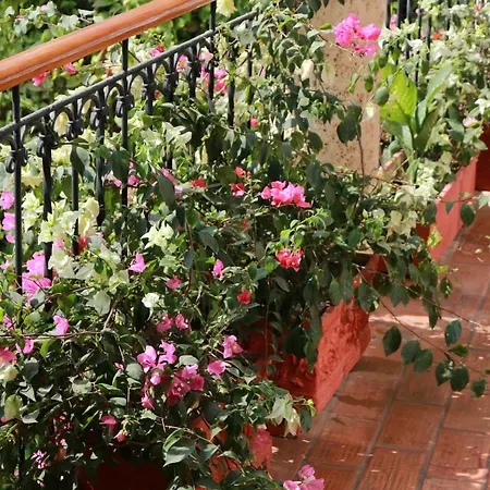 Casa De Reyes By Hmc Hotel Cartagena