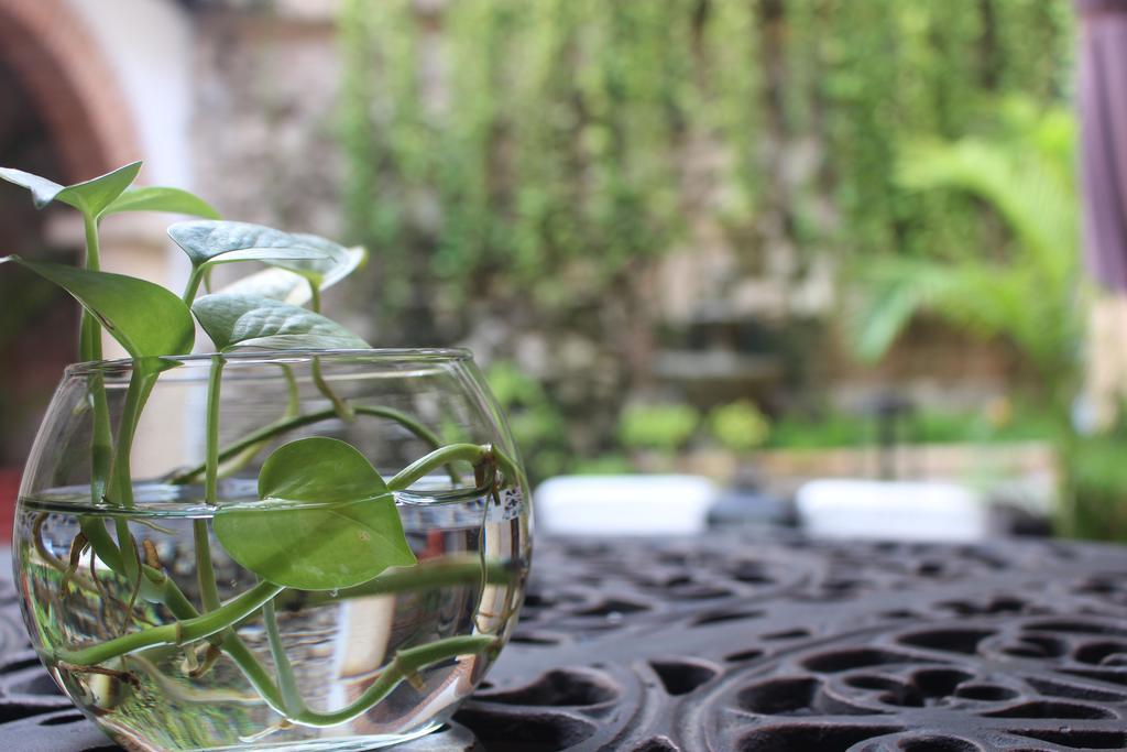 Casa De Reyes By Hmc Hotel 4*